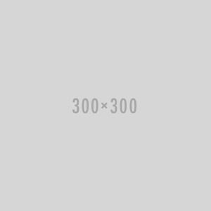 product10